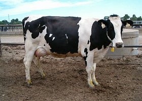 img3938435f9d3230e90