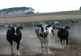 img746947e14e574e88e