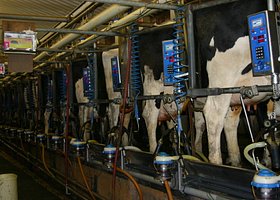 img1597344eca43ebe025