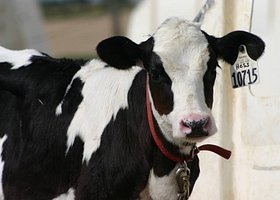 img2146347e14b628497c