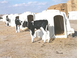 img20875435f9bd213d88