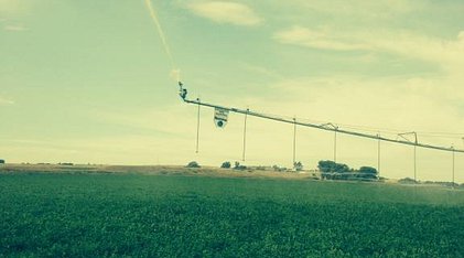 img1784753e3c028de1ea